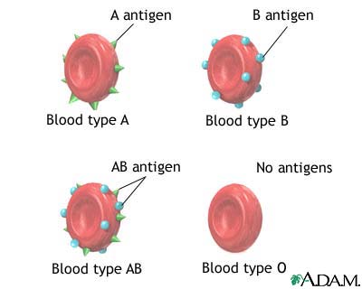Blood Groups
